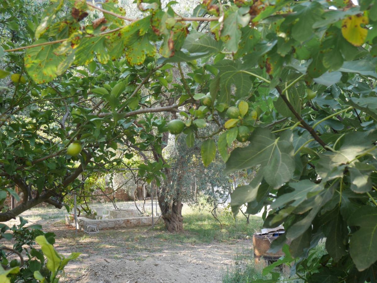 O Pyrgos Accommodations Panormos  Экстерьер фото